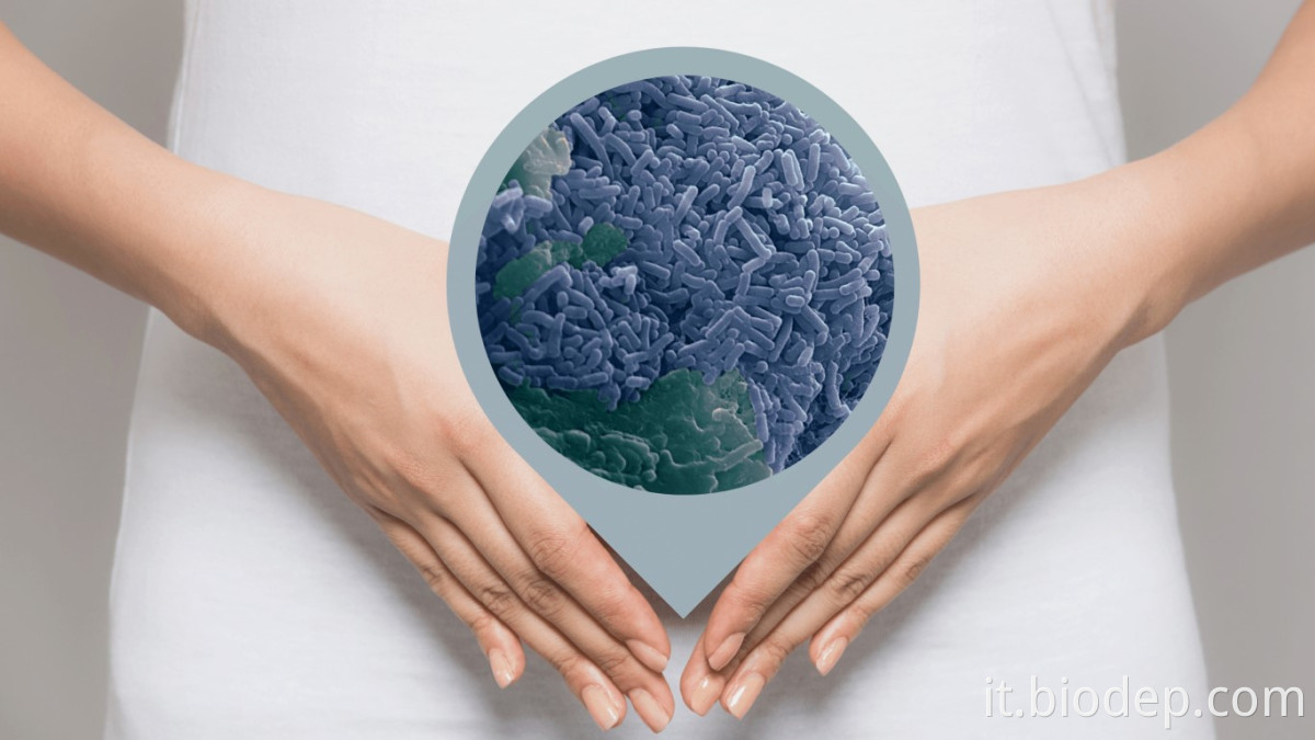 lactobacillus reuteri4